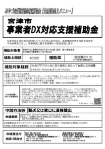 R8_DXチラシのサムネイル